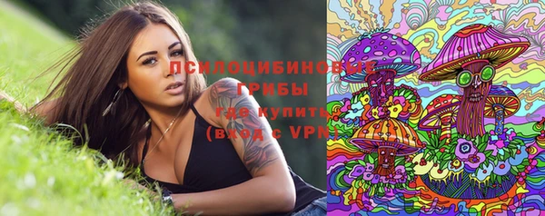 герыч Алексин
