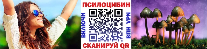 цены   кракен tor  Галлюциногенные грибы Psilocybine cubensis  Заводоуковск 